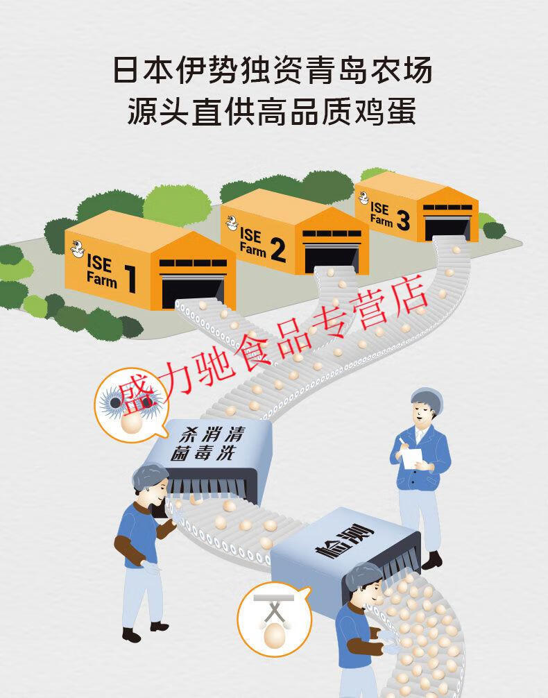 伊势鸡蛋伊势四季の卵鲜鸡蛋45枚礼盒装无·菌可生食鸡蛋寿喜锅 伊势