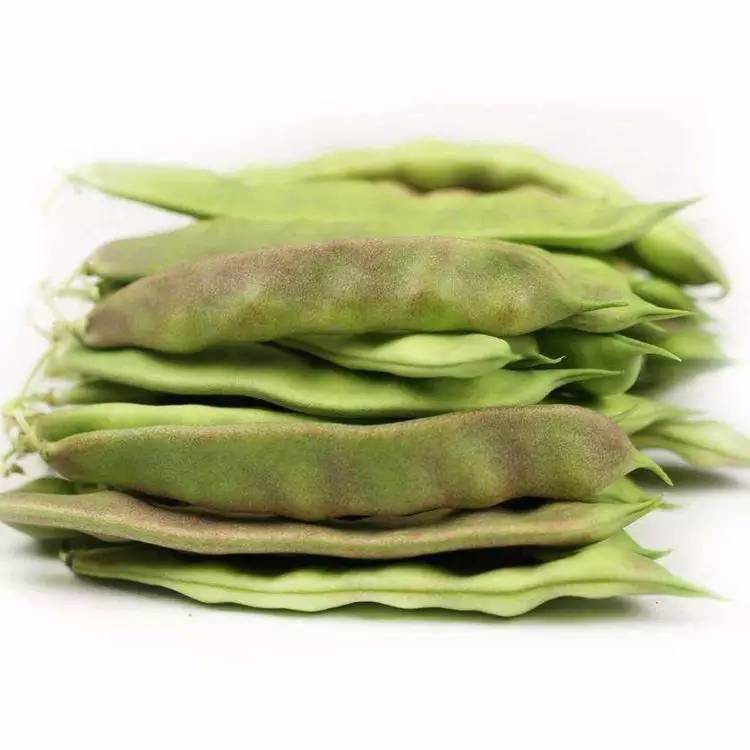 东北油豆角紫花油豆新鲜蔬菜东北油豆正宗一点红当季农家现摘现发