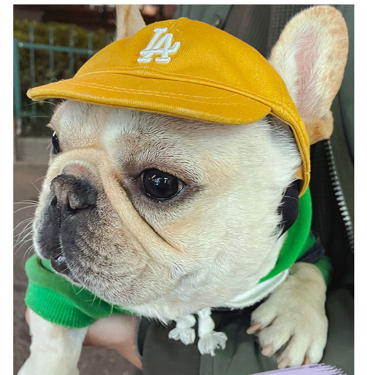 小郎人宠物狗狗帽子小型犬泰迪比熊遮阳帽猫咪露耳朵小狗鸭舌棒球帽