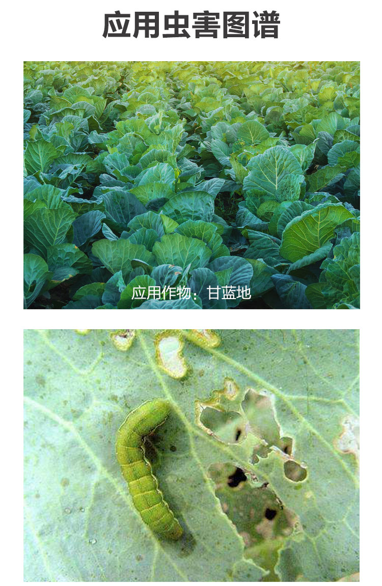 45高效氯氰菊酯脂果树蔬菜梨桃小食心虫青菜虫地下害虫杀虫剂