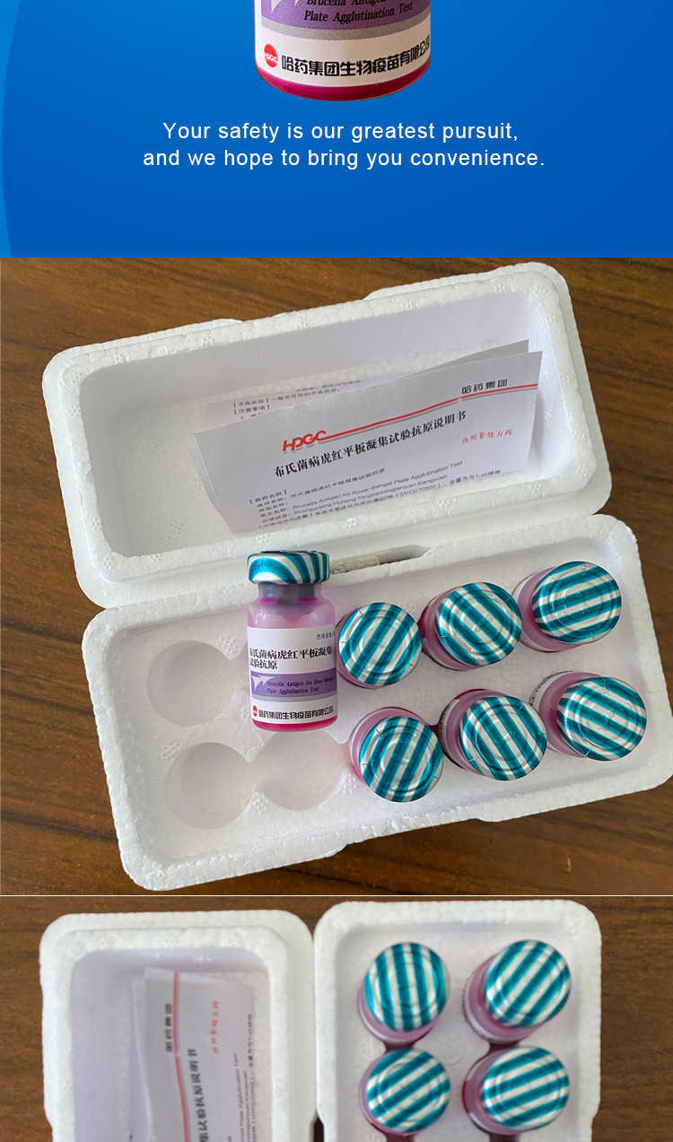 布氏菌病虎红凝集平板实验抗原布病检测试剂牛羊布病测试阳性血清可开