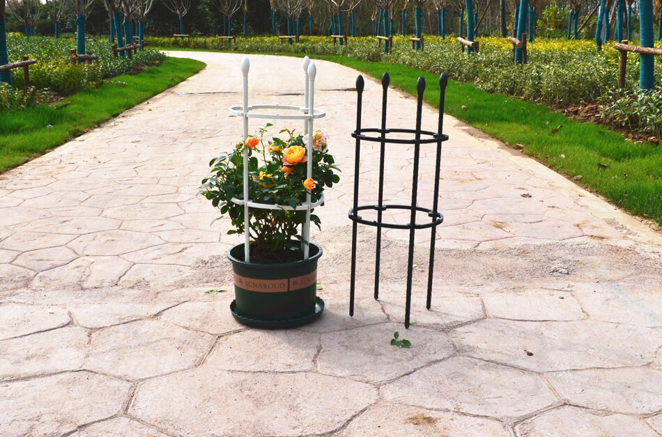 花架爬藤架子铁线莲月季花支架花盆植物攀爬支架室内固定花支撑杆虎雀