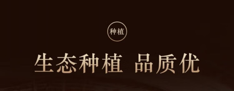 d6735ff71cd52c20.jpg