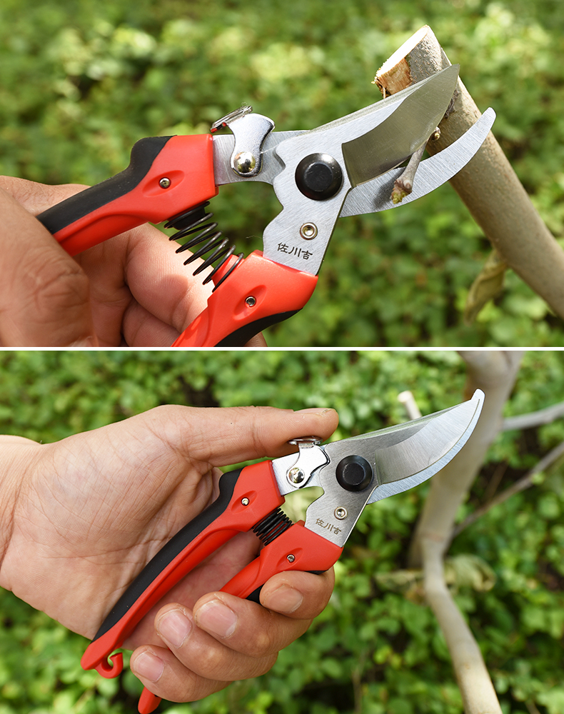 佐川吉园艺修枝剪左川吉园林剪刀工具果树剪自开式摘果疏果剪佐川吉