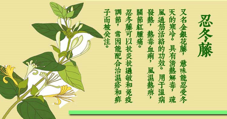 金银花藤秦岭野生新鲜忍冬藤宝宝洗澡干藤中药材现采现内廷上用 官方