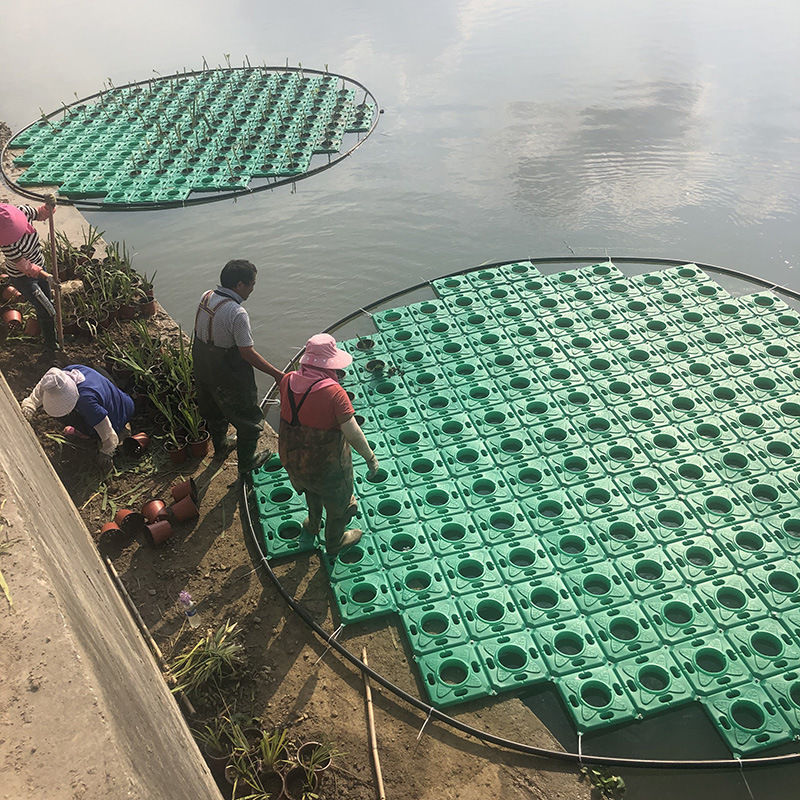 生态浮岛水上种植人工生态浮床浮岛水生植物绿化造景河道水面景观请