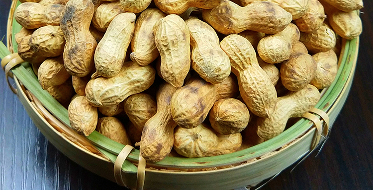 9折5斤贵州土特产农家现炒花生带壳生花生2020新货散装原味熟花生炒