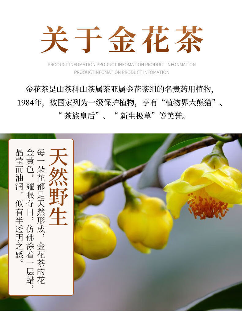 金花茶野生广西金花茶防城防普冻干金花茶精选国宝金花茶批发 25克