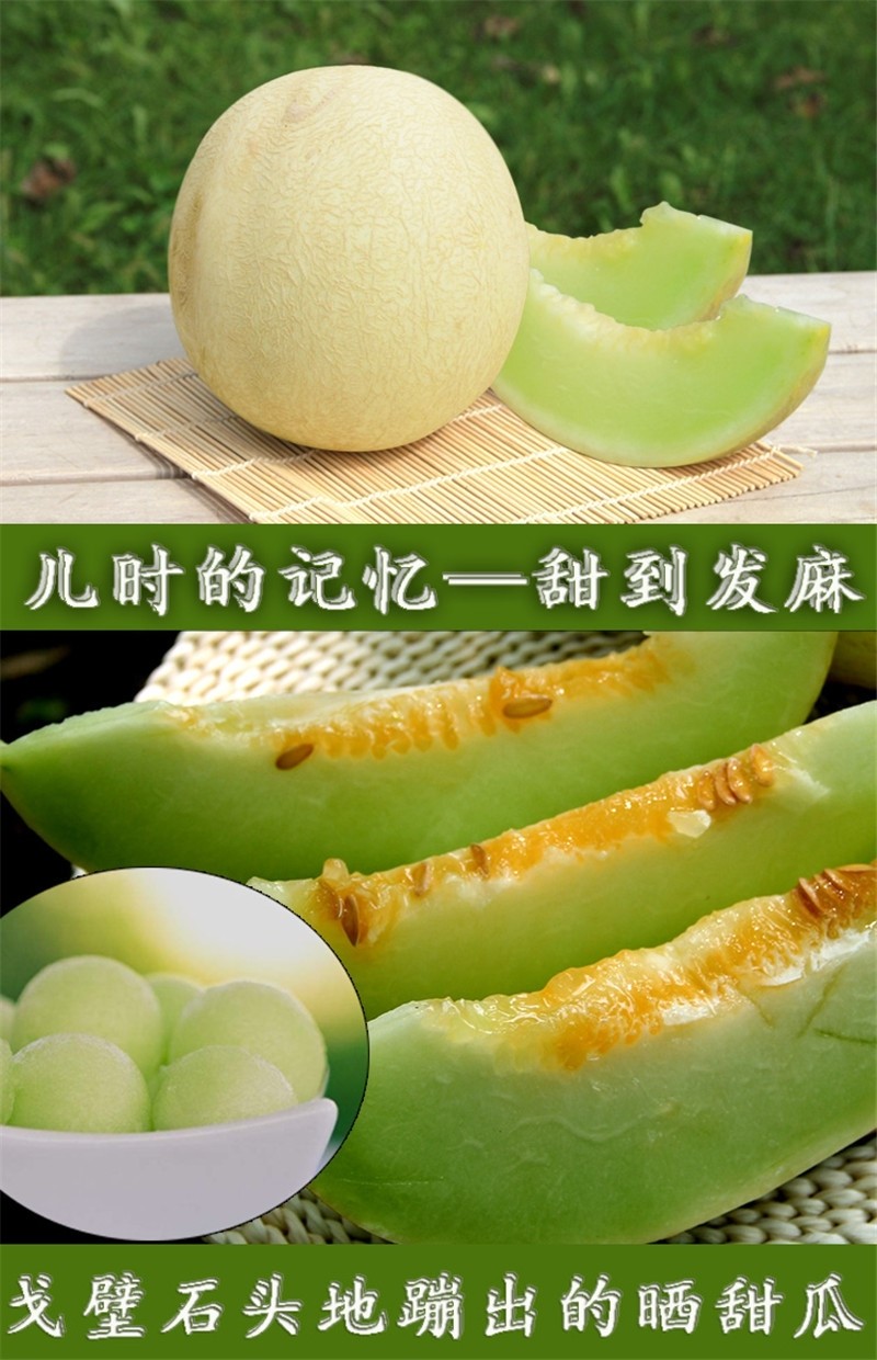 西贝戈壁白兰瓜 大漠蜜瓜甘肃瓜州蜜瓜特产兰州沙漠香甜脆民勤银蒂