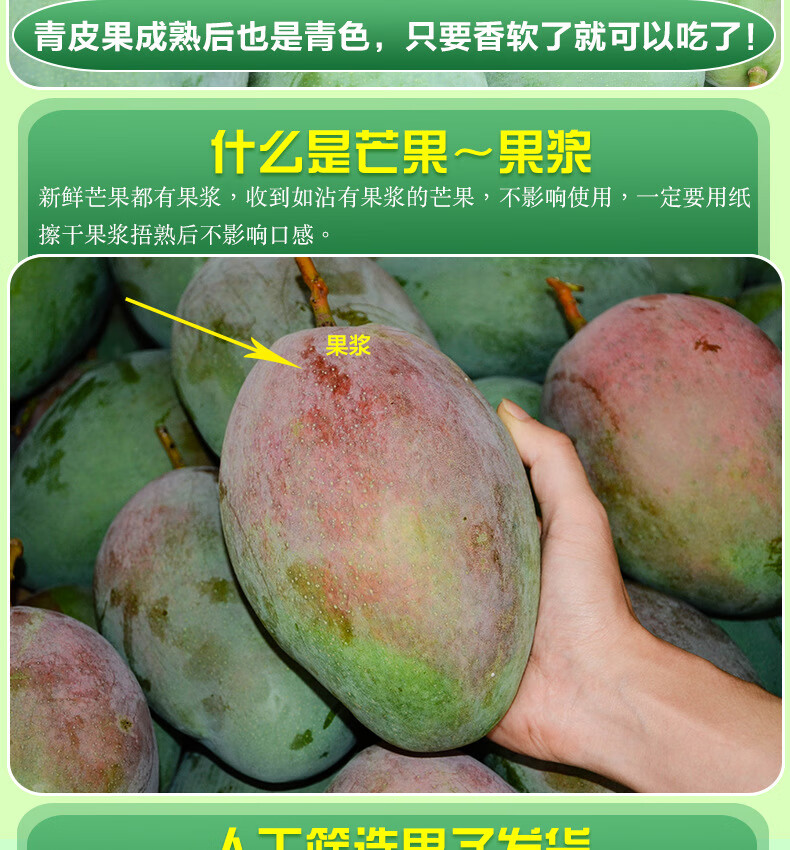 攀枝花凯特芒果大脸芒苹果芒新香甜大芒果整箱凯特芒 9斤装大果【单果