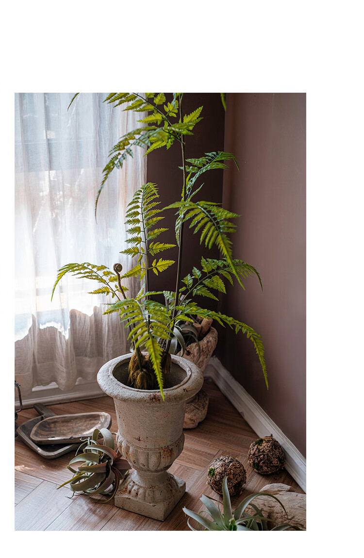 掬涵 大型仿真金毛狗蕨猴頭蕨植物盆栽落地綠植裝飾客廳盆景擺件 金毛