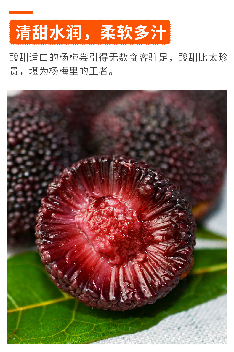 当天发顺丰空运 福建浮宫龙海杨梅礼盒装端午节送礼福建鲜果大果现摘