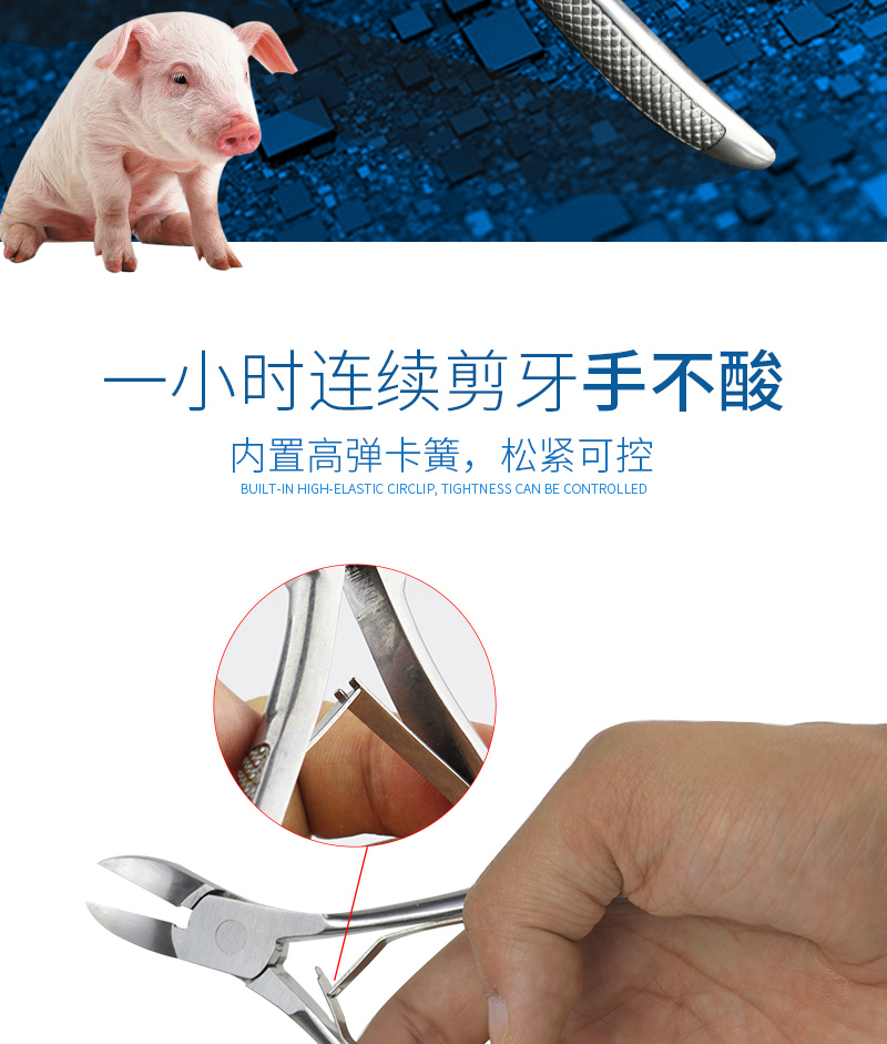 小猪什么时候剪牙好 小猪什么时候剪牙好呢