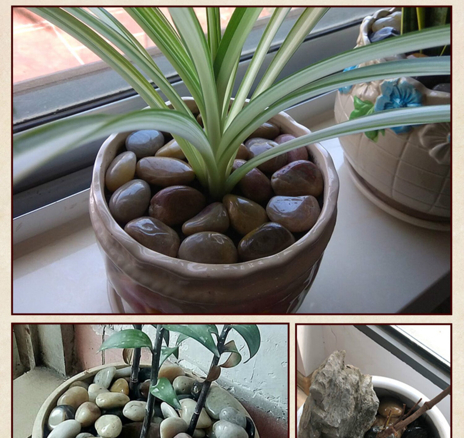 鹅卵石铺路庭院天然雨花五彩石园林鱼缸造景大小号石子景观原石头鹅软