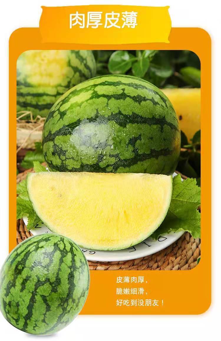 富硒特小凤小西瓜黄色黄心黄壤沙瓤新鲜水果冰淇淋小西瓜整箱特小凤
