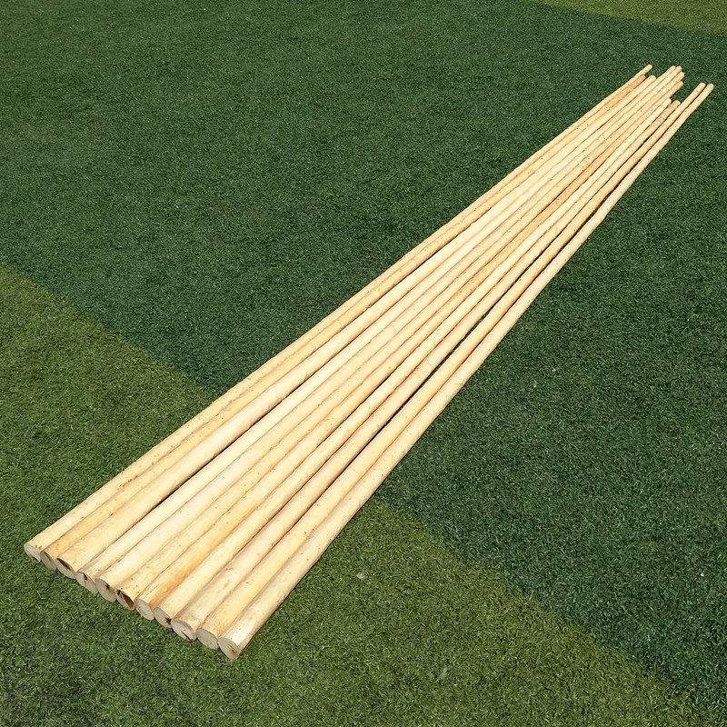 武极堂同款太极大杆白蜡杆长3至4米武术棍木棍子长棍武术器械少林棍