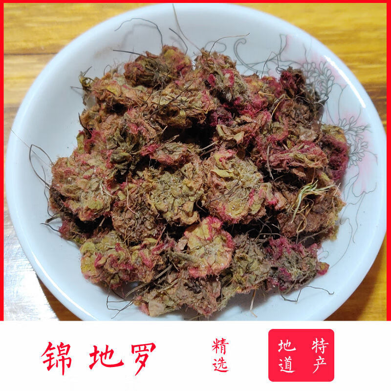 落地金钱锦地罗怎地罗一朵芙蓉花夜落金钱锦地萝金线吊芙蓉250克