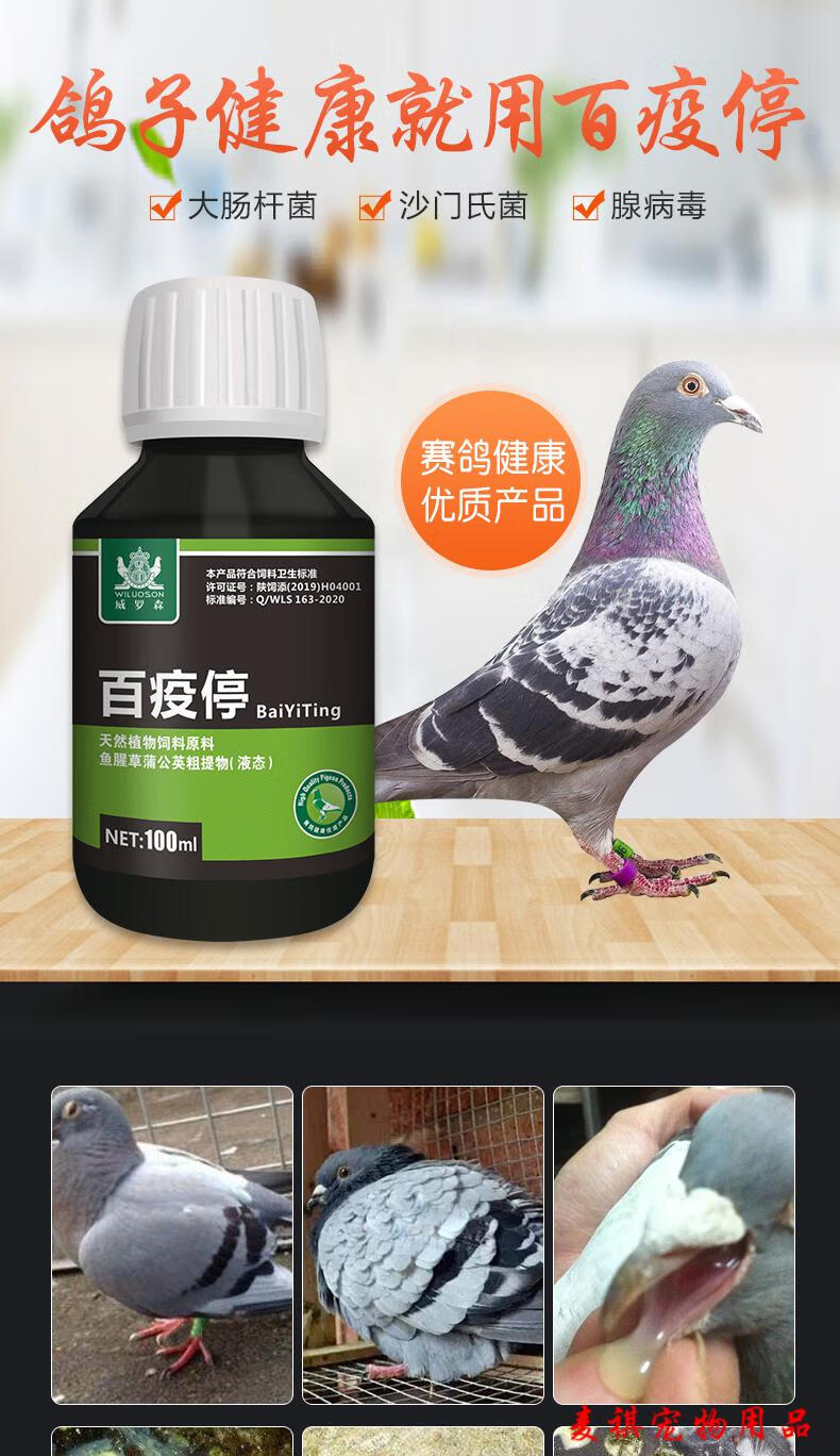 沙门氏菌鸽药六百疫清拉稀水绿便新城疫病毒鸽子药大全常见病