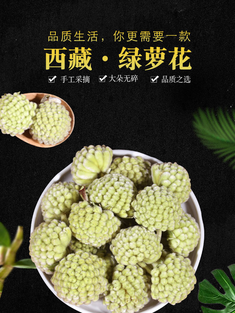 绿萝花茶树图片欣赏图片