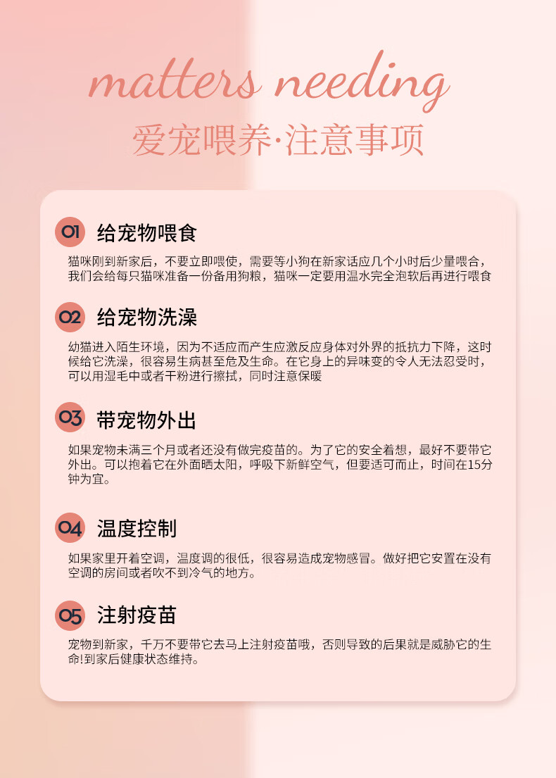 比熊幼犬纯种小体比熊犬长不大飞耳茶杯犬活体小型犬家养宠物狗狗 高