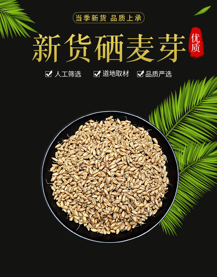 硒麦芽500g天然麦芽硒中药材散装 另售晒干硒麦芽五味子粉茶【图片