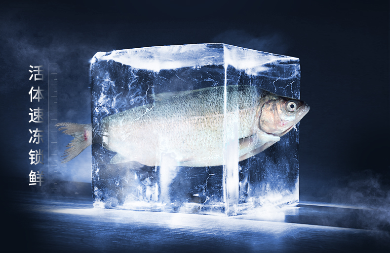 新疆赛里木湖高白鲑鱼新鲜冷水鱼高白鲑鱼肉500g600g条1