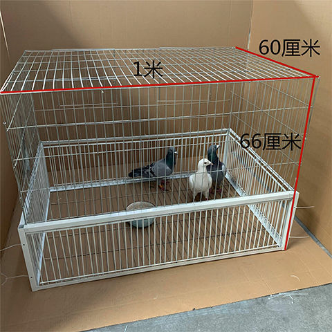 捕鸽神器加密抓鸽子笼自动天落笼救援鸽笼户外捕鸽子笼逮鸽撞门加密长