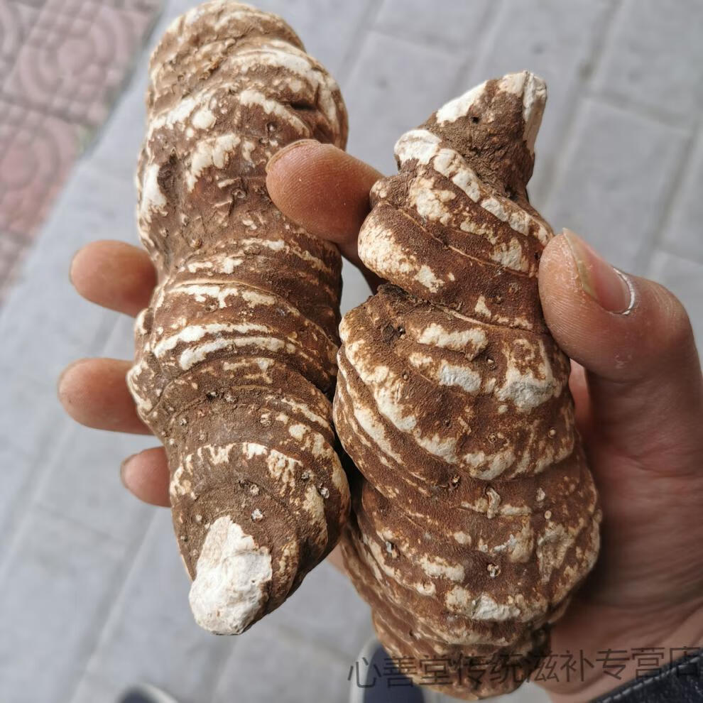 正宗云南重楼七叶一枝花中药材白蚤休干货独角头草河车七叶一枝花重楼