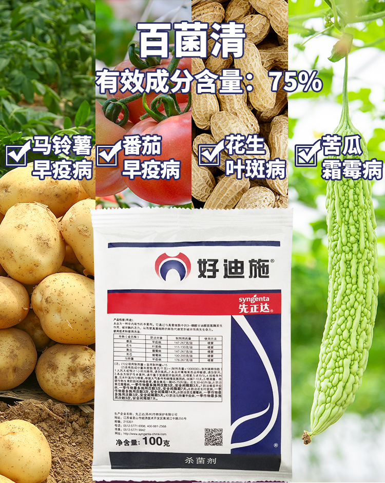 先正达好迪施75百菌清黄瓜早疫病霜霉病叶斑病农药剂100克100g