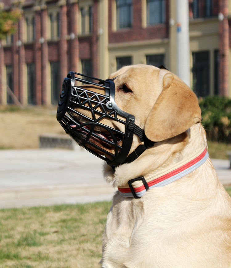 【精选】狗狗嘴套防咬乱吃口罩大中小型犬泰迪用品狗套笼狗罩宠物金毛