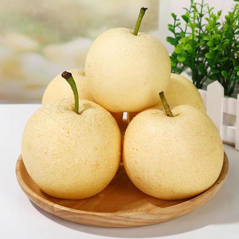 山西贡梨酥梨果冰糖蜜梨新鲜梨子水果原产地现摘现发