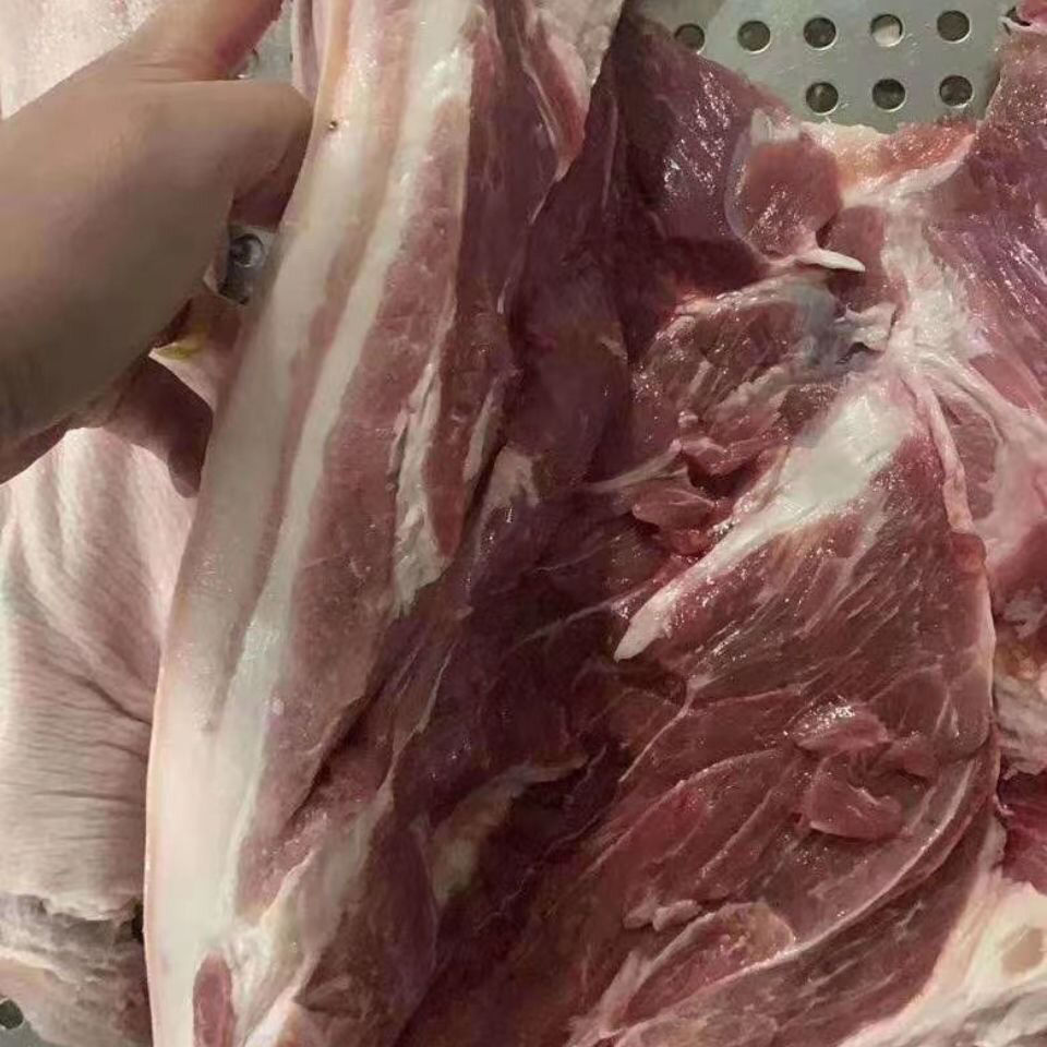 带皮五花肉新鲜冷冻带皮上腿肉前腿肉后腿肉毛重20斤猪腿肉生猪肉