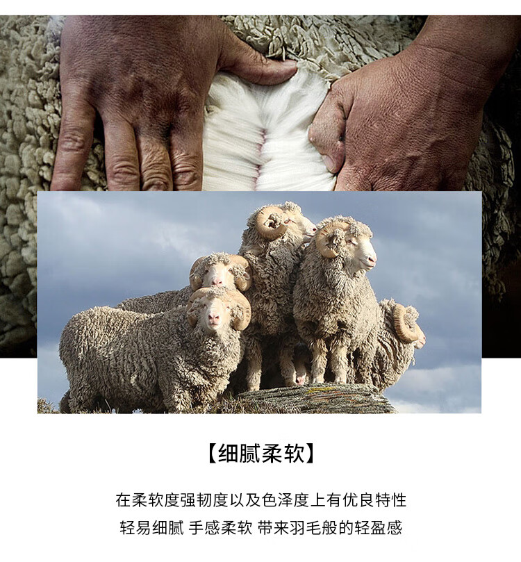 d44064c6a441fb2c.jpg