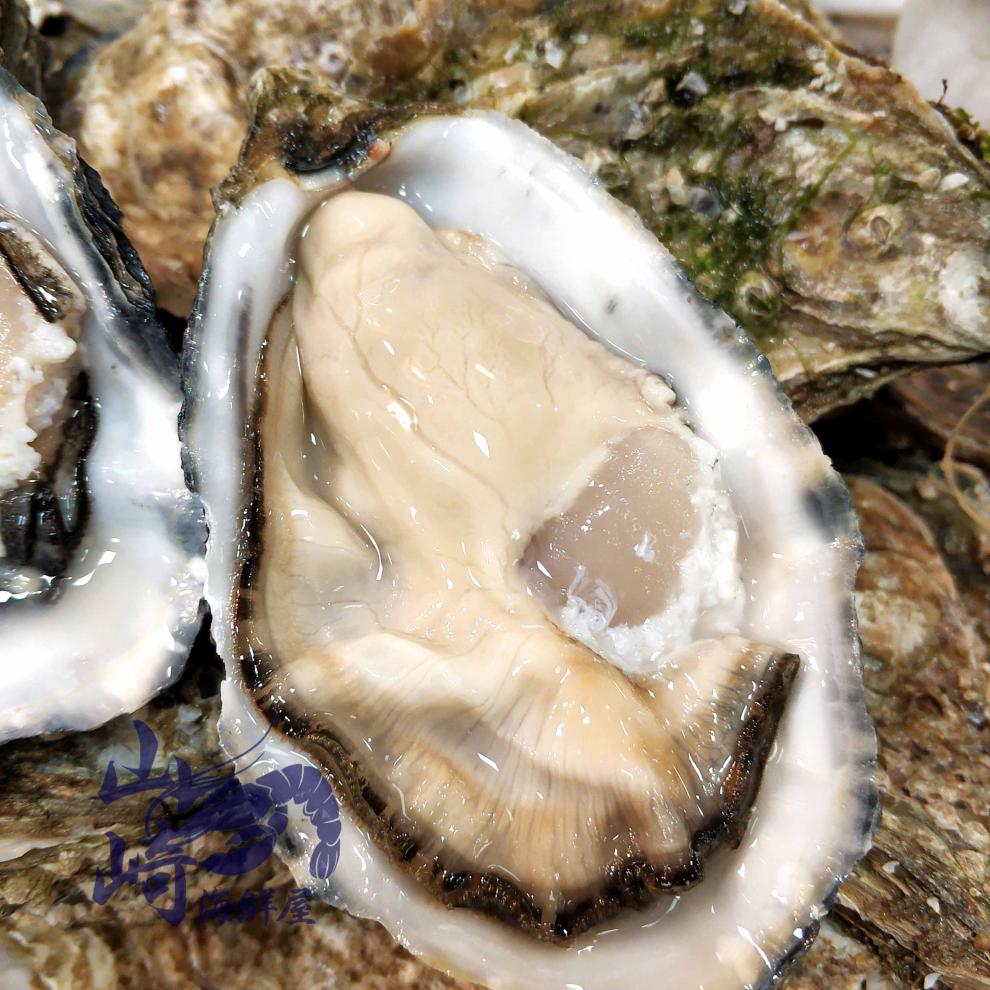 法国原装进口木箱吉娜朵吉拉多生蚝48只空运即食刺身蚝生吃 xxl(120g