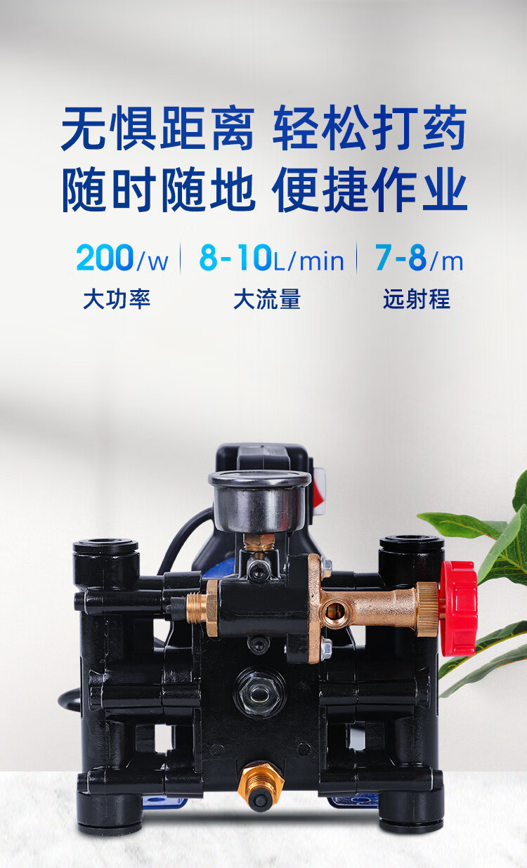 农用12v高压水泵洗车水泵自吸泵高压打药机双缸柱塞打果园水泵48v60v