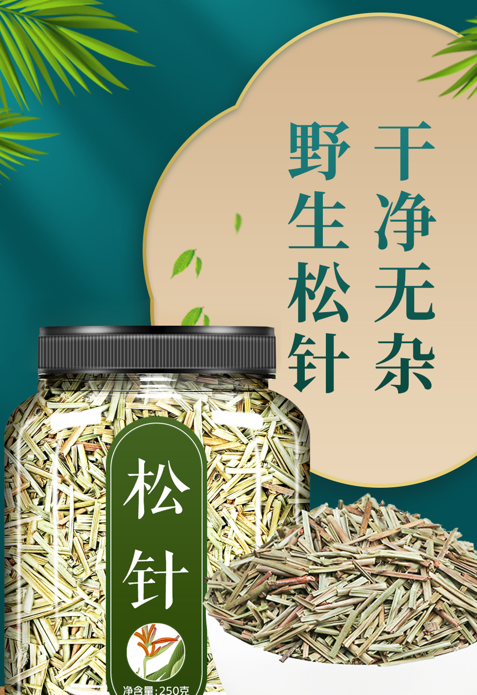 同仁堂松针茶松针叶新鲜长白山干松针茶叶松毛马尾松500g中药材