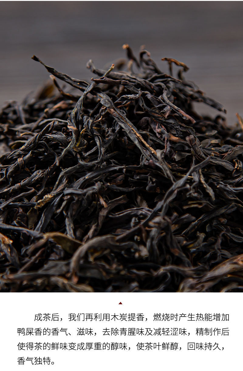 涵鹭 茶叶【老丛蜜兰香】凤凰精品单枞叶特级乌龙潮州高山乌岽单丛茶