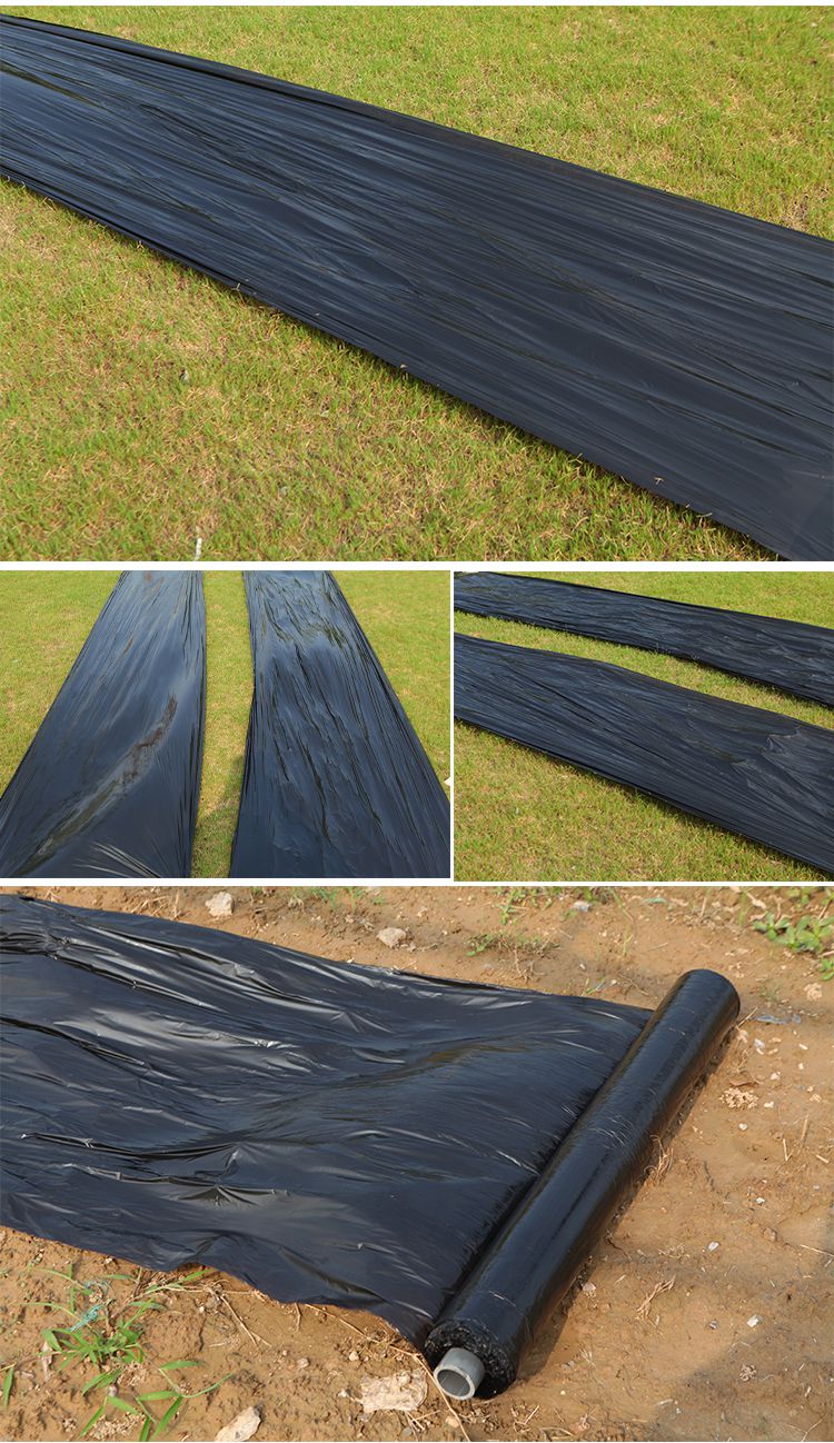 卫亮薄膜纸塑料农用地膜打孔工程甘蔗农业大棚膜果树家用透明专用种菜