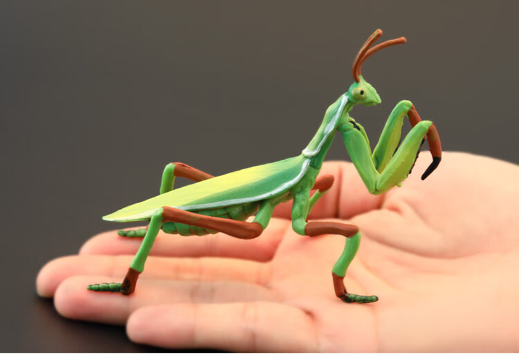 仿真兰花螳螂 实心昆虫玩具模型套装 螳螂 大刀螂 祷告虫 认知礼品