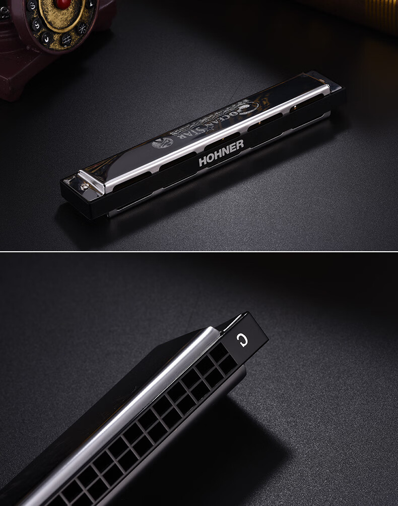 24孔复音口琴男女初学者成人演奏儿童口琴乐器 银色c调标配 檀木色