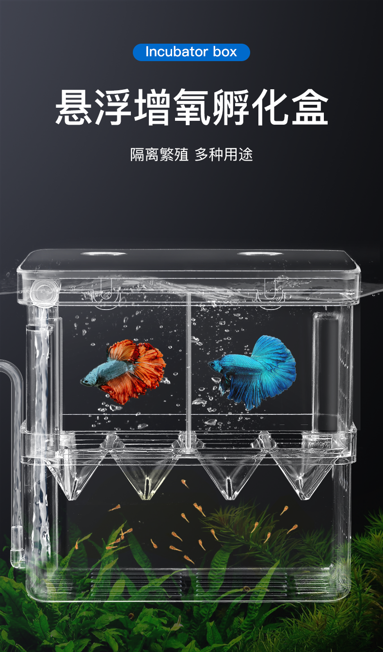 孔雀鱼繁殖盒可乐瓶图片