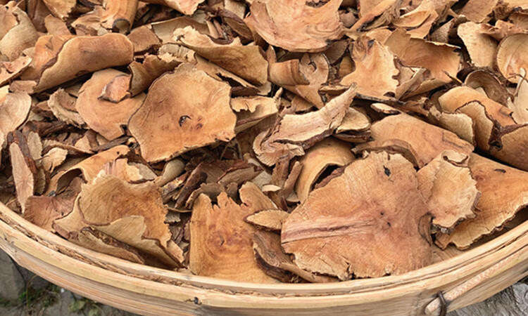 伟博 金樱根 金英子根 金樱蔃 新鲜金樱子根 脱骨丹500克晒干【图片