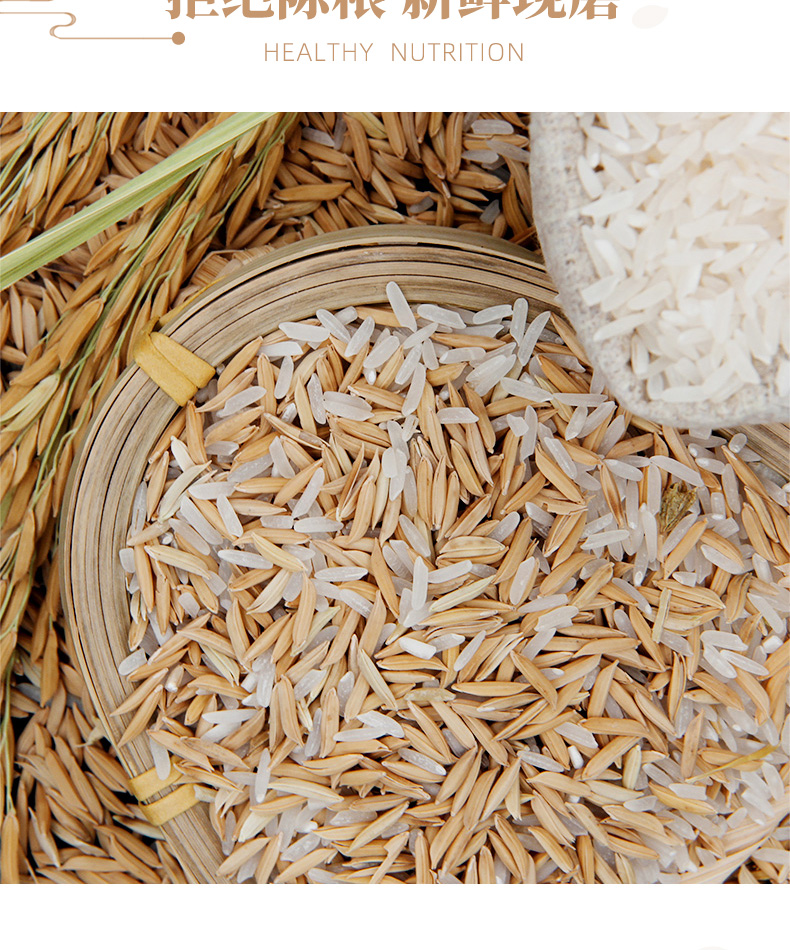 新米马坝粮仓油粘米长粒香米5kg10斤丝苗米南方籼米米