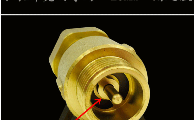 加厚全銅單向閥自來水錶前後止回閥防迴流防空轉4分6分家用止逆閥表前
