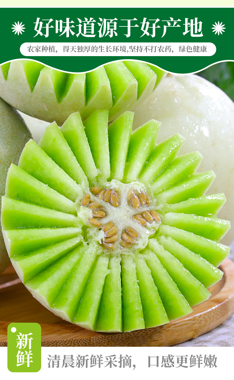 玉菇甜瓜奶香蜜甜瓜5斤装10斤装新鲜应季蜜瓜当季孕妇水果脆瓜香瓜