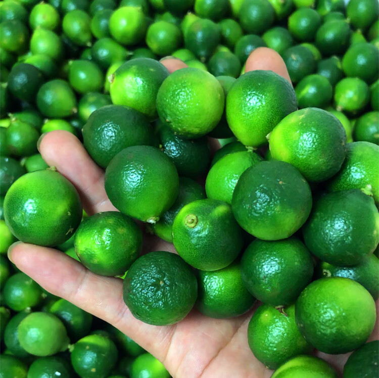海南青金桔 青金桔新鲜 青橘 水果 酸柑 8斤【图片 价格 品牌 报价】-