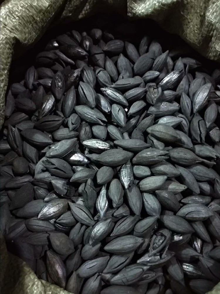 霆友 橄榄炭乌榄炭龙眼炭果木炭实木炭烟碳煮茶炭炭炉煮茶炭 1斤龙眼