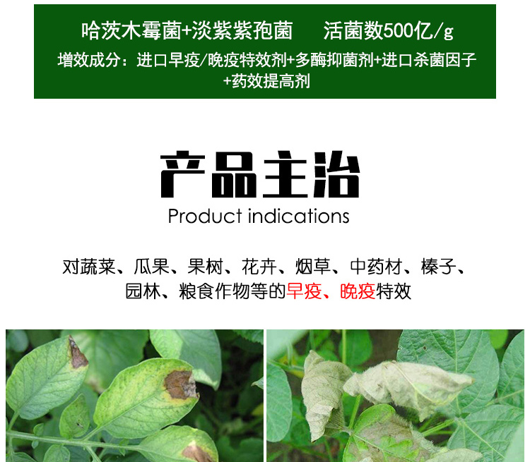 进口早疫晚疫病1号杀菌剂马铃薯番茄辣椒茄子早晚疫病专用药5盒