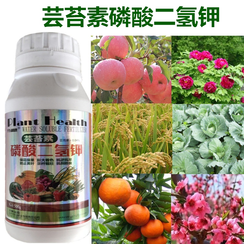 增產裂果芒果火龍果檳榔蔬菜草莓鈣鎂硼葉面肥 蕓薹素磷酸二氫鉀500克