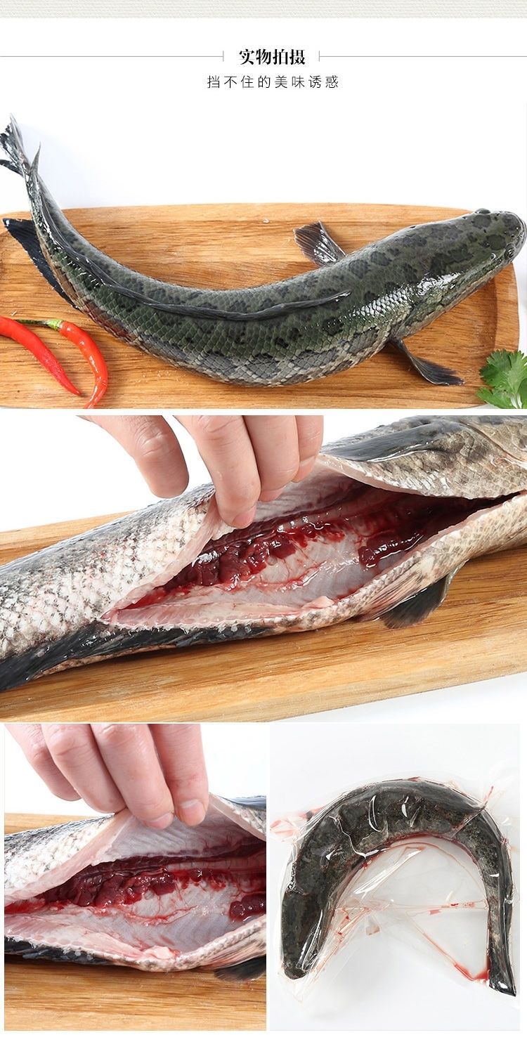 原生态黑鱼正宗鲜活乌鱼现杀活体淡水黑鱼酸菜鱼炖汤财鱼 2-2.